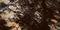 Напольная плитка «Gravita» Labrador High Glossy 120x60 78801744 plural, фото №1