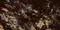 Напольная плитка «Gravita» Labrador High Glossy 120x60 78801744 plural, картинка №2