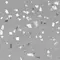 Напольная плитка «Gravita» Terratile Matt. 60x60 78801708 grey, изображение №12