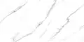 Напольная плитка «Fanal» Carrara NPlus 120x60 918763 белый, фото №1