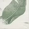 Декор «Mainzu» Bottega Spring Leaves Matt. 20x20 922382 мультиколор, фотография №3