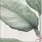 Декор «Mainzu» Bottega Spring Leaves Matt. 20x20 922382 мультиколор, фото №5