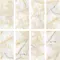 Напольная плитка «ITC» Alabaster Glossy (Индия) 120x60 00000016464 natural, картинка №2
