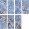 Напольная плитка «ITC» Agyaro Lapp. (Индия) 120x60 sugar effect 00000016469 blue, картинка №2