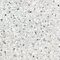 Напольная плитка «Керамин» Терраццо 7 Matt. 50x50 СК000029589 светло-серый, фото №1