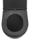 Комплект инсталляция с унитазом, крышкой и кнопкой смыва «AQUAme» AQM2002302MB/TECEprofil безободковый черный, фотография №3