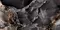 Напольная плитка «Neodom» Luxury Royal Onyx Polish. 120x60 N40018 чёрный, фото №1