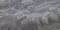Напольная плитка «Neodom» Ambassador Lawa Polished 120x60 N20431 grey, фото №1