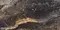 Напольная плитка «Neodom» Lawa Matt. 120x60 N20432 nero, фото №1