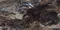 Напольная плитка «Neodom» Luxury Lawa Matt. 120x60 carving N20432 nero, фото №1