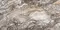 Напольная плитка «Neodom» Massimo Polished 160x80 N20422 amadeus, фото №1