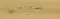 Напольная плитка «Cersanit» Sandwood Matt. 59,8x18,5 СК000040892 бежевый, фото №1