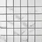 Напольная мозаика «Neodom» Splendida Mckinley Polished 30x30 N20357 серый, фото №1