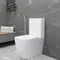 Унитаз компакт «Charus» Caravan CT700-131W белый с сиденьем дюропласт белое, фото №5