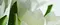 Настенное панно «Polcolorit» Arco Tulipan Glossy (комплект из 2 шт.) 60x50 х9999049569 verde, картинка №2