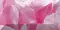 Настенный бордюр «Ceramica Classic» Peony 1 Glossy 20x10 br1020D281-1 розовый, фото №1