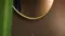 Зеркало «Art&Max» Sanremo 77 с подсветкой золото, изображение №4
