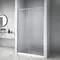 Душевая дверь «Aquanet» Pleasure Evo AE65-N100-CT 100/190 прозрачная/хром универсальная, картинка №2