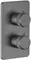 Смеситель для душа «Allen Brau» Priority V.2 5.31213-MG с термостатом брашированный графит, фото №1
