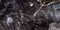 Напольная плитка «Primavera» Toledo High Glossy 120x60 GR201 black, фото №1