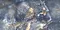 Напольная плитка «Primavera» Speranza Gold Polish. 120x60 GR206 light blue, изображение №4