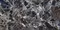 Напольная плитка «Primavera» Roman Empro High Glossy 120x60 GR208 brown, фото №5