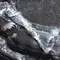 Напольная плитка «Primavera» Black Modulo High Glossy 60x60 GR108 black, фото №9