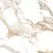 Напольная плитка «Primavera» Duchess Polish. 60x60 PR138 gold, фото №5