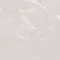 Напольная плитка «Neodom» Stone Persian Matt. 120x120 N20516 grey, фото №1