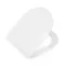 Подвесной унитаз безободковый «Belbagno» Sfera-Tor BB046CH-TOR (BB051SC) белый с сиденьем дюропласт с микролифтом белое, изображение №4