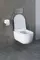 Подвесной унитаз безободковый «Allen Brau» Priority 4.31002.20 (4.31004.20) белый с сиденьем дюропласт с микролифтом белое, фото №25