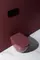 Подвесной унитаз безободковый «Allen Brau» Fantasy 4.11004.BD/4.11005.BD бордовый с сиденьем дюропласт с микролифтом, картинка №6