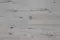 Ламинат «Kastamonu»  NanoClick NC62 Жансен 138х15,9 33 класс светло-серый, фотография №3