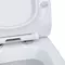 Уценка, Унитаз компакт «Sanitana» Kapa белый с сиденьем термопласт с микролифтом белый, изображение №8