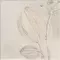 Декор «Mainzu» Soft Kamelia Matt. 15x15 78803487 white, фотография №7