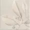 Декор «Mainzu» Soft Kamelia Matt. 15x15 78803487 white, фото №9