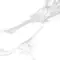 Напольная плитка «Realistik» Luxury Calacatta Matt. 60х60 carving 76710 белый, картинка №6