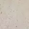 Напольная плитка «Kerama Marazzi» Про Лаймстоун Matt. 60x60 DD641220R бежевый, изображение №8
