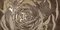 Декор «Ceramiche Brennero» Explora Lapp. 120х60 918135 bronze, фото №1