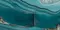 Напольная плитка «LCM» Wow Super Polish. 120x60 60120WOW16HG aquamarine, картинка №6