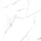 Напольная плитка «Ceradim» Statuario Wonderful Polish. 60х60 х9999304577 белый, фотография №7