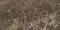 Напольная плитка «Keope Ceramiche» Elements Lux Emperador Lapp. 120x60 2A24 коричневый, фото №1