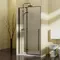 Душевая дверь «Vincea» Slim-N VDPH-5SN900CLB 90/195 прозрачная/чёрная, картинка №2