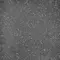 Настенная плитка «Eletto Ceramica» Soller Matt. 15x15 00-00108641 black, фотография №3