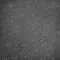 Настенная плитка «Eletto Ceramica» Soller Matt. 15x15 00-00108641 black, картинка №6