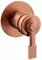Смеситель для душа «Remer» Atelier AL30LRP брашированная медь, фото №1