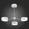 SLE6005-502-03 Светильник потолочный Белый, Хром/Белый LED 3*10W, фотография №7