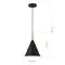 SLE1255-403-01 Светильник подвесной Черный/Черный E27 1*40W, фотография №3