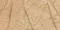 Напольная плитка «Infinity Ceramica» Wattle Drab Matt. 120x60 00000017239 beige, фото №5