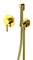 Смеситель с гигиеническим душем «Whitecross» Y SYSYBI1GL золото, фото №1